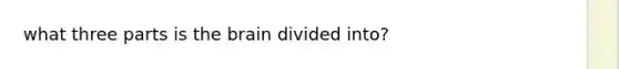 what three parts is the brain divided into?