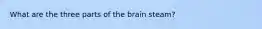 What are the three parts of the brain steam?