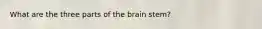 What are the three parts of the brain stem?