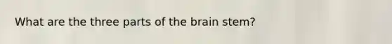 What are the three parts of <a href='https://www.questionai.com/knowledge/kLMtJeqKp6-the-brain' class='anchor-knowledge'>the brain</a> stem?