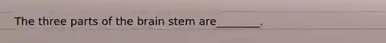 The three parts of the brain stem are________.
