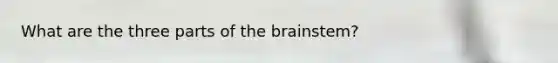 What are the three parts of the brainstem?