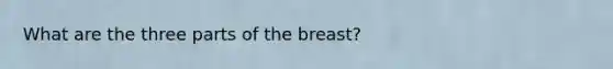 What are the three parts of the breast?