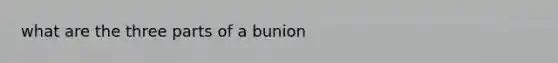 what are the three parts of a bunion