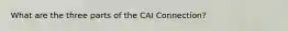 What are the three parts of the CAI Connection?