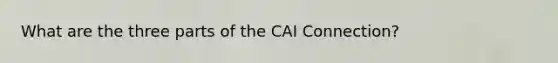 What are the three parts of the CAI Connection?