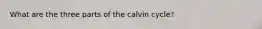 What are the three parts of the calvin cycle?