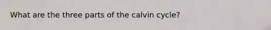 What are the three parts of the calvin cycle?