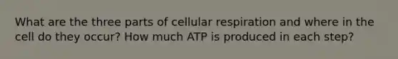 What are the three parts of cellular respiration and where in the cell do they occur? How much ATP is produced in each step?