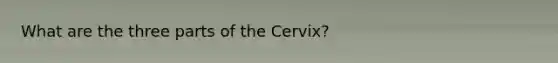 What are the three parts of the Cervix?