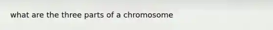 what are the three parts of a chromosome