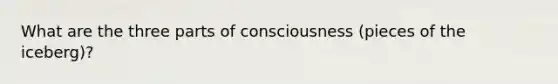 What are the three parts of consciousness (pieces of the iceberg)?