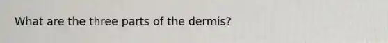 What are the three parts of the dermis?