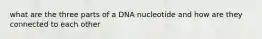 what are the three parts of a DNA nucleotide and how are they connected to each other