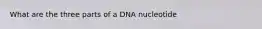 What are the three parts of a DNA nucleotide