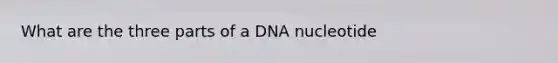 What are the three parts of a DNA nucleotide