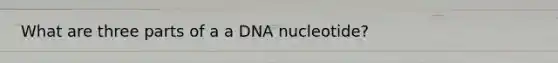 What are three parts of a a DNA nucleotide?