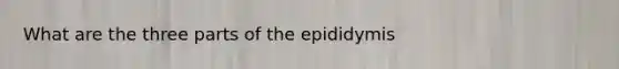 What are the three parts of the epididymis