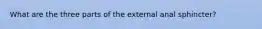 What are the three parts of the external anal sphincter?