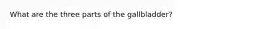 What are the three parts of the gallbladder?