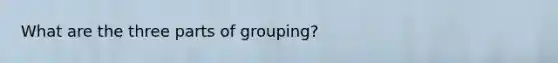 What are the three parts of grouping?