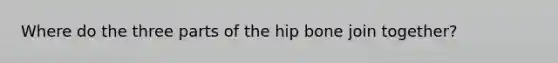 Where do the three parts of the hip bone join together?