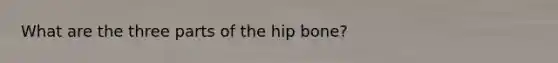 What are the three parts of the hip bone?