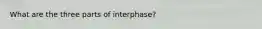 What are the three parts of interphase?