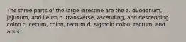 The three parts of the large intestine are the a. duodenum, jejunum, and ileum b. transverse, ascending, and descending colon c. cecum, colon, rectum d. sigmoid colon, rectum, and anus