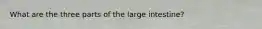 What are the three parts of the large intestine?