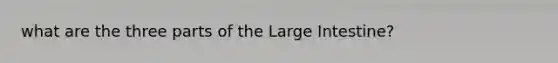 what are the three parts of the Large Intestine?