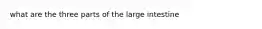 what are the three parts of the large intestine