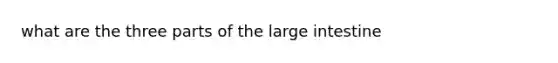 what are the three parts of the <a href='https://www.questionai.com/knowledge/kGQjby07OK-large-intestine' class='anchor-knowledge'>large intestine</a>