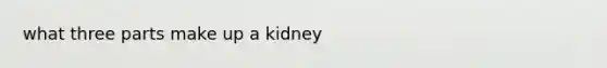 what three parts make up a kidney