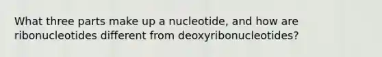 What three parts make up a nucleotide, and how are ribonucleotides different from ​deoxyribonucleotides?