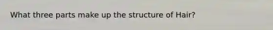 What three parts make up the structure of Hair?