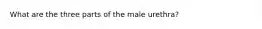 What are the three parts of the male urethra?