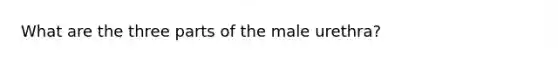 What are the three parts of the male urethra?