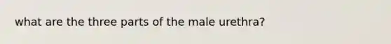 what are the three parts of the male urethra?