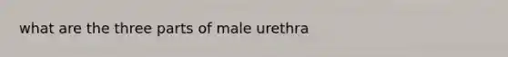 what are the three parts of male urethra