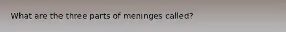 What are the three parts of meninges called?