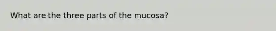 What are the three parts of the mucosa?