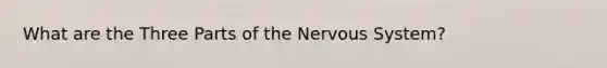 What are the Three Parts of the Nervous System?