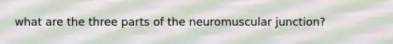 what are the three parts of the neuromuscular junction?