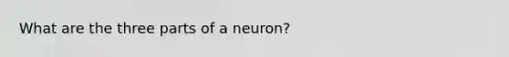 What are the three parts of a neuron?