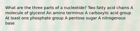 What are the three parts of a nucleotide? Two fatty acid chains A molecule of glycerol An amino terminus A carboxylic acid group At least one phosphate group A pentose sugar A nitrogenous base