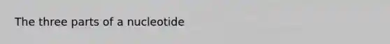 The three parts of a nucleotide