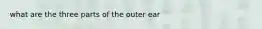 what are the three parts of the outer ear