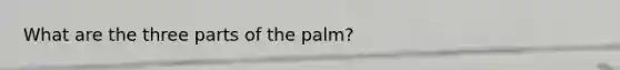 What are the three parts of the palm?