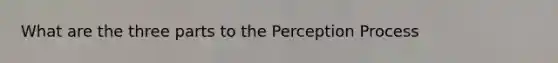 What are the three parts to the Perception Process